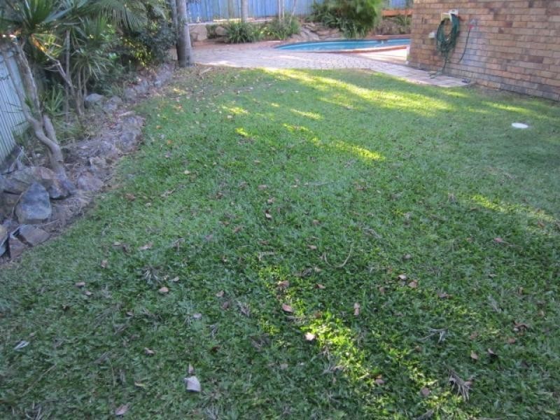 71 Greenwood Street, Wishart QLD 4122