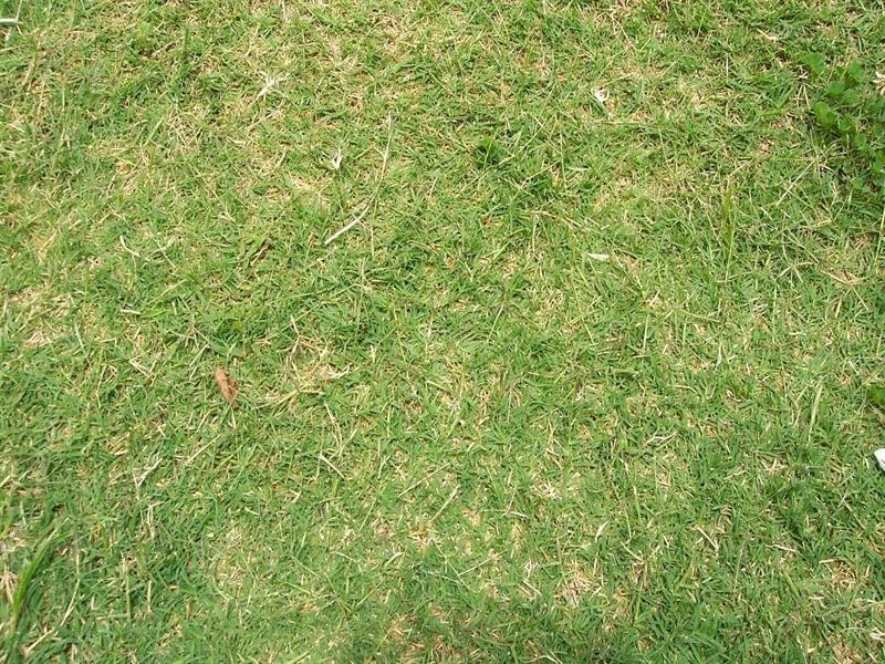 15 Leah Avenue, Salisbury QLD 4107