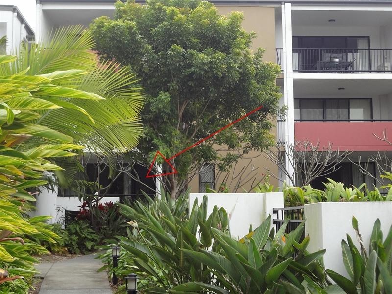 5/3 Lindwall Street, Upper Mount Gravatt QLD 4122