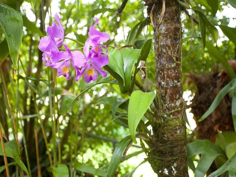 7 Goomerah Street, Mount Gravatt East QLD 4122