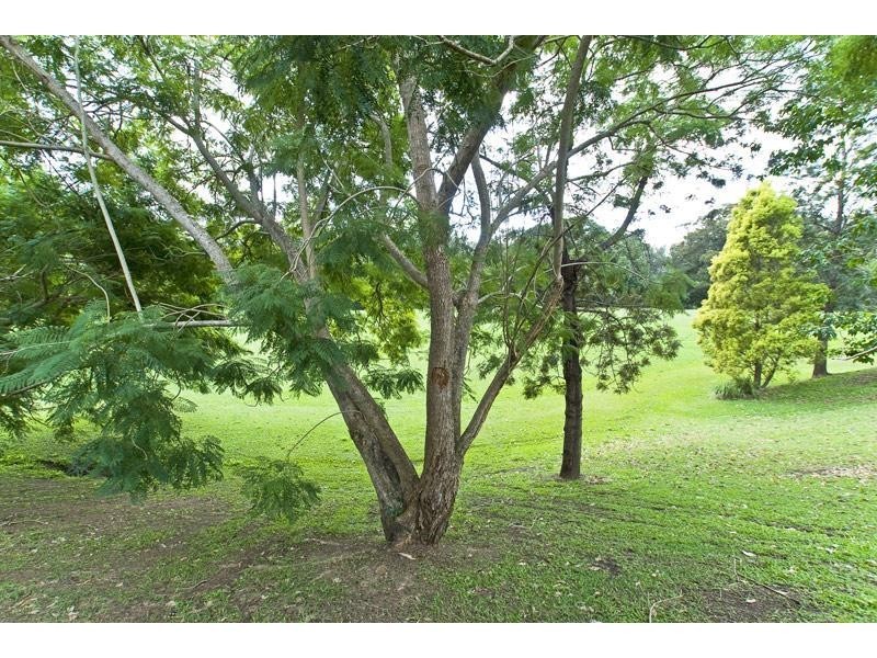 19 Souter Street, Nerang QLD 4211