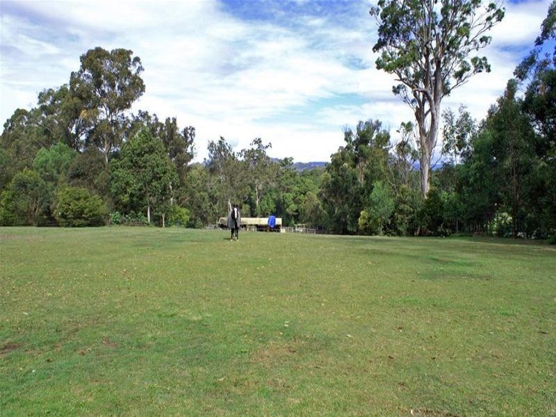 56 Billabirra Crescent, Nerang QLD 4211