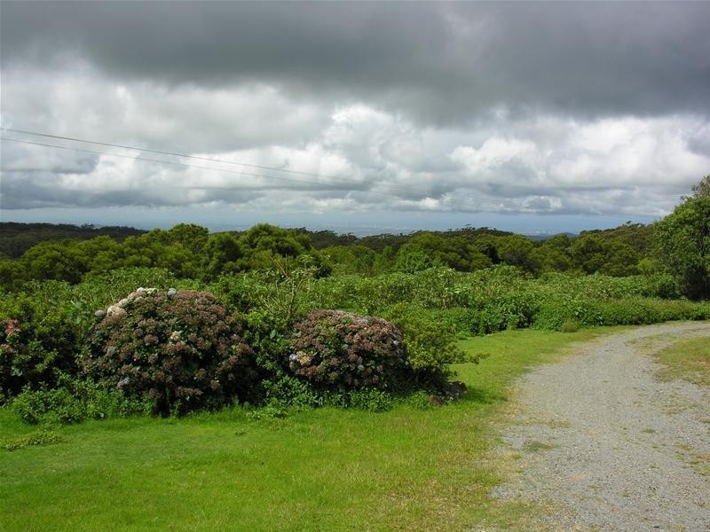 2740 Springbrook Road, Springbrook QLD 4213