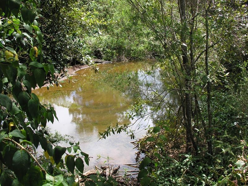 2740 Springbrook Road, Springbrook QLD 4213