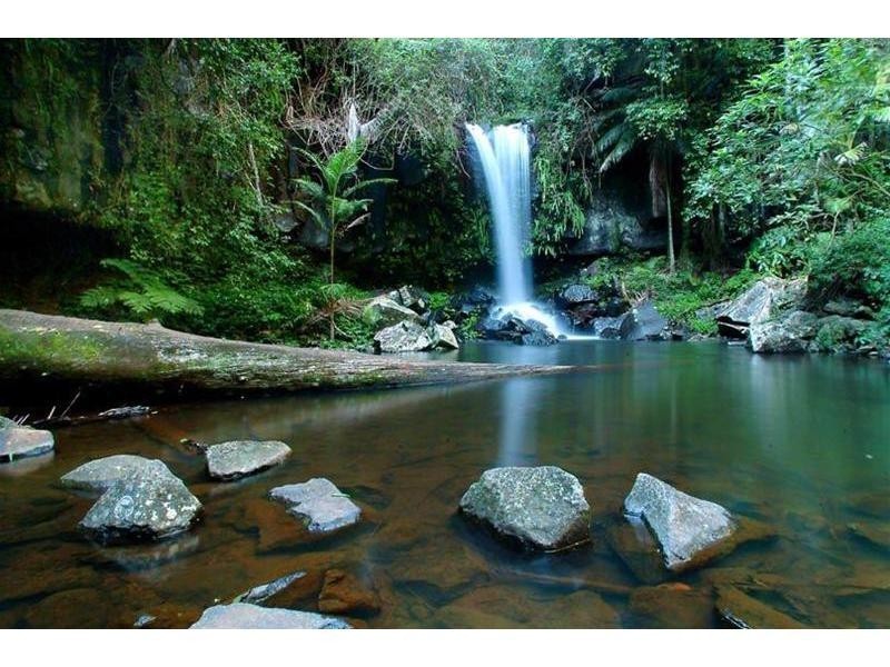 8 Forestry Road, Springbrook QLD 4213