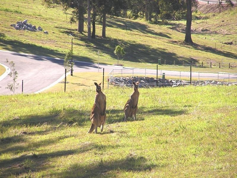 12 Hanwood Court, Gilston QLD 4211