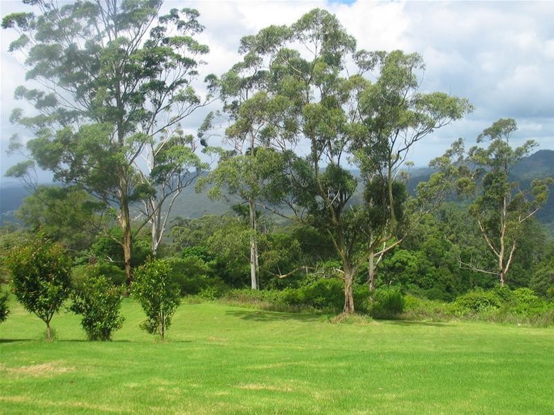 425 Mt Nimmel Road, Austinville QLD 4213