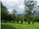 425 Mt Nimmel Road, Austinville QLD 4213