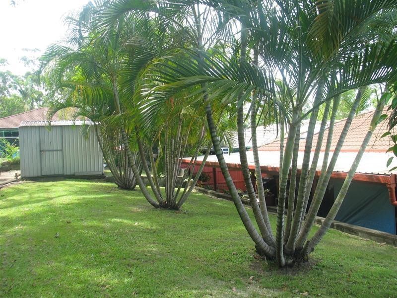 36 Plum Parade, Nerang QLD 4211