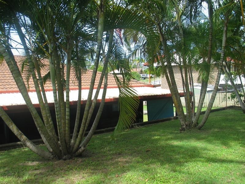 36 Plum Parade, Nerang QLD 4211