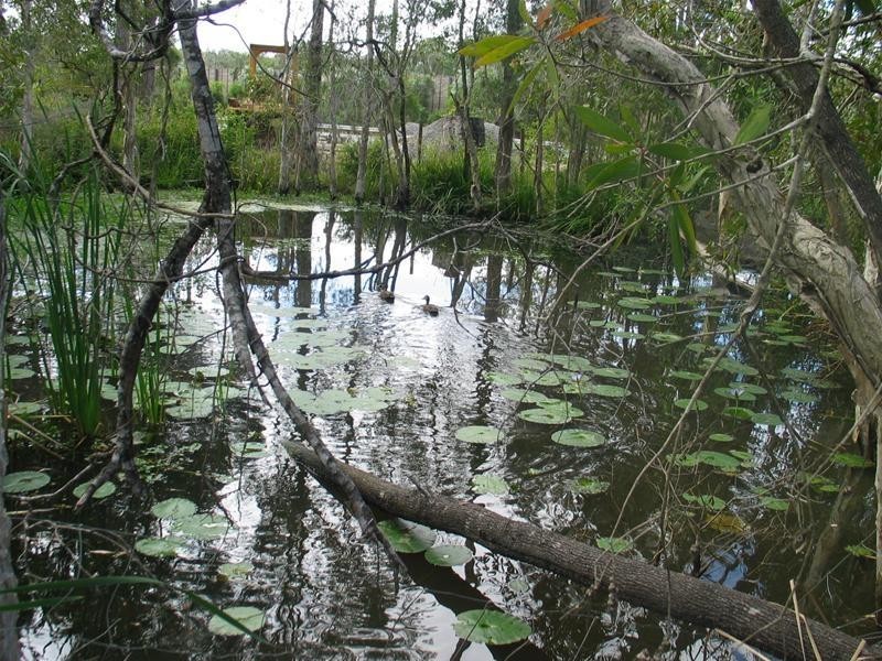 Lot 6, 136 Banyula Drive, Gaven QLD 4211