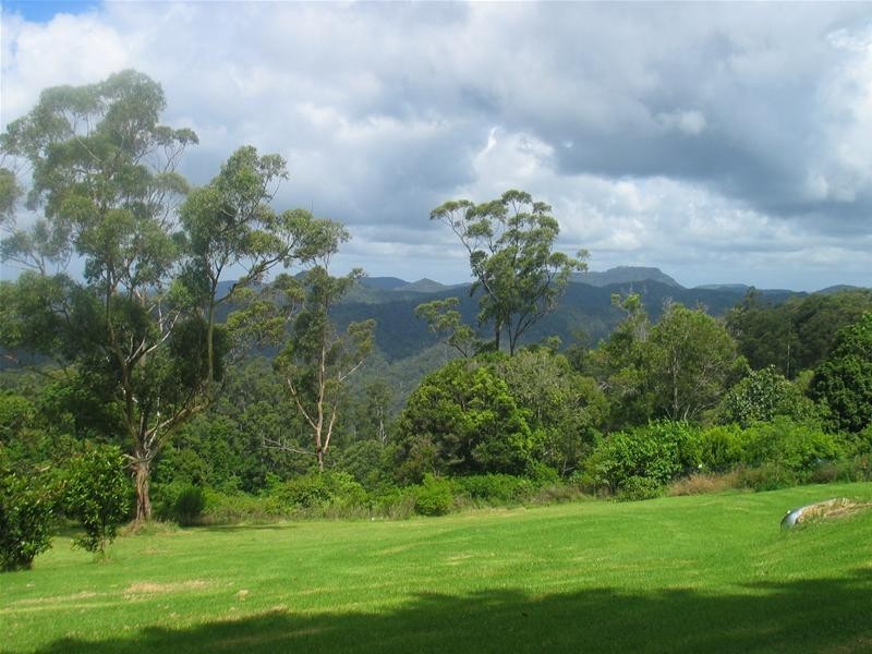 425 Mt Nimmel Road, Austinville QLD 4213