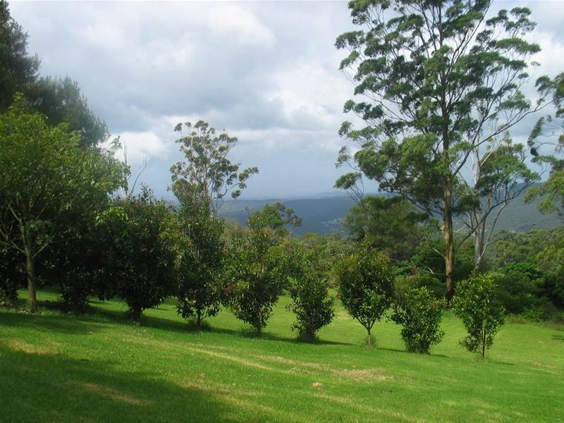 425 Mt Nimmel Road, Austinville QLD 4213