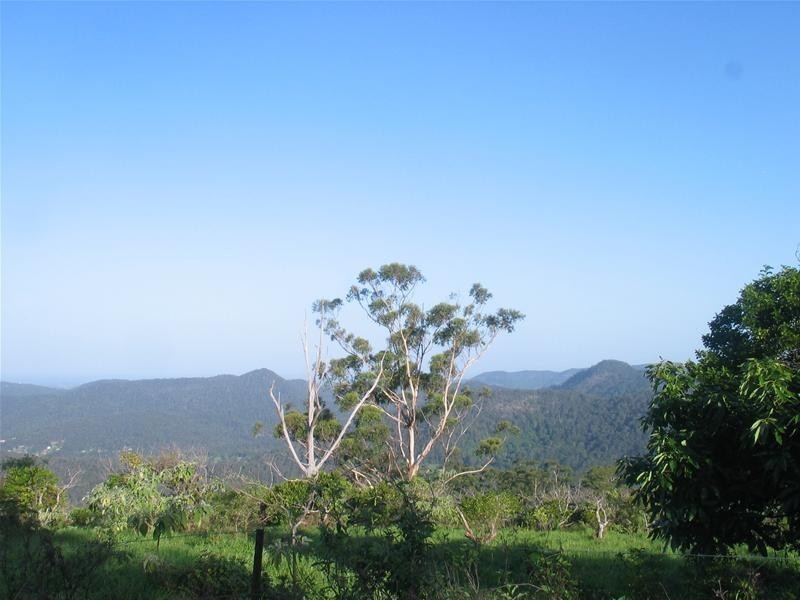 425 Mt Nimmel Road, Austinville QLD 4213