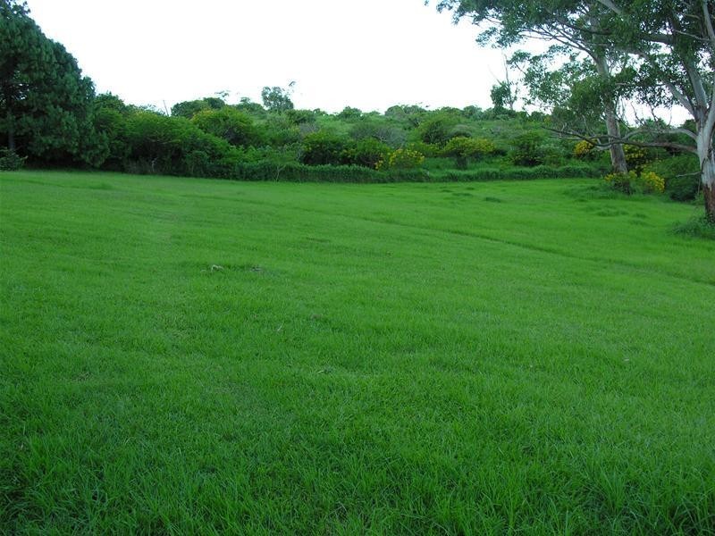 425 Mt Nimmel Road, Austinville QLD 4213