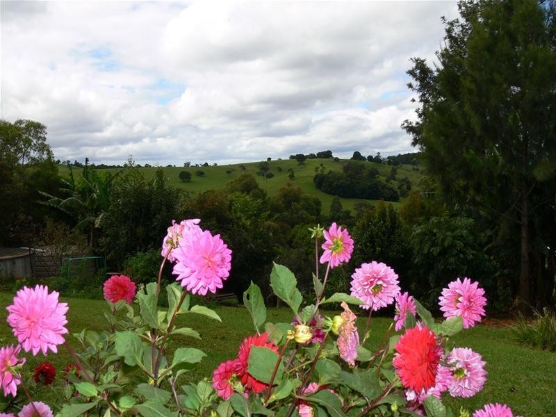 21 Doomben Court, Beechmont QLD 4211