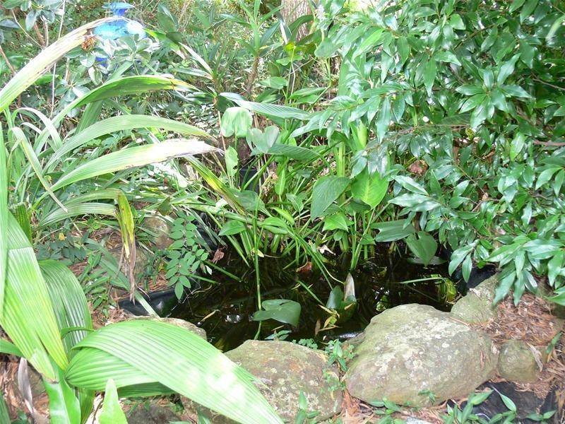 21 Doomben Court, Beechmont QLD 4211