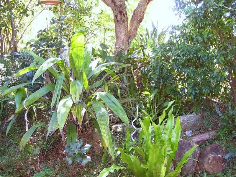 21 Doomben Court, Beechmont QLD 4211