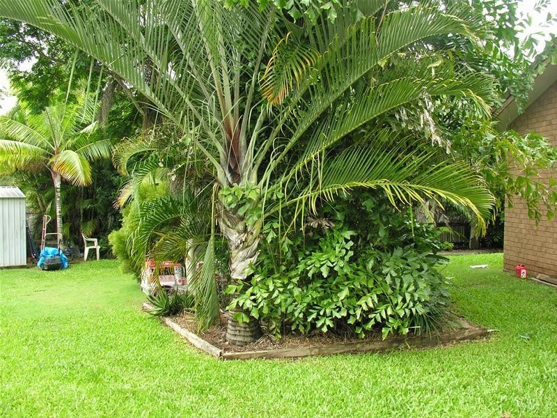 3 Culloden Court, Highland Park QLD 4211