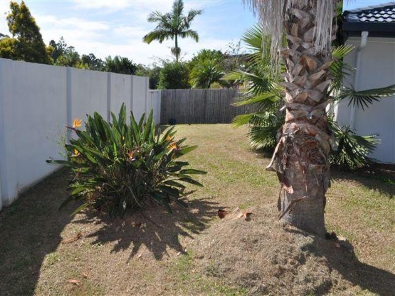 41 Yangoora Crescent, Ashmore QLD 4214