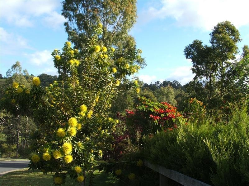 1 The Oval Drive, Mount Nathan QLD 4211