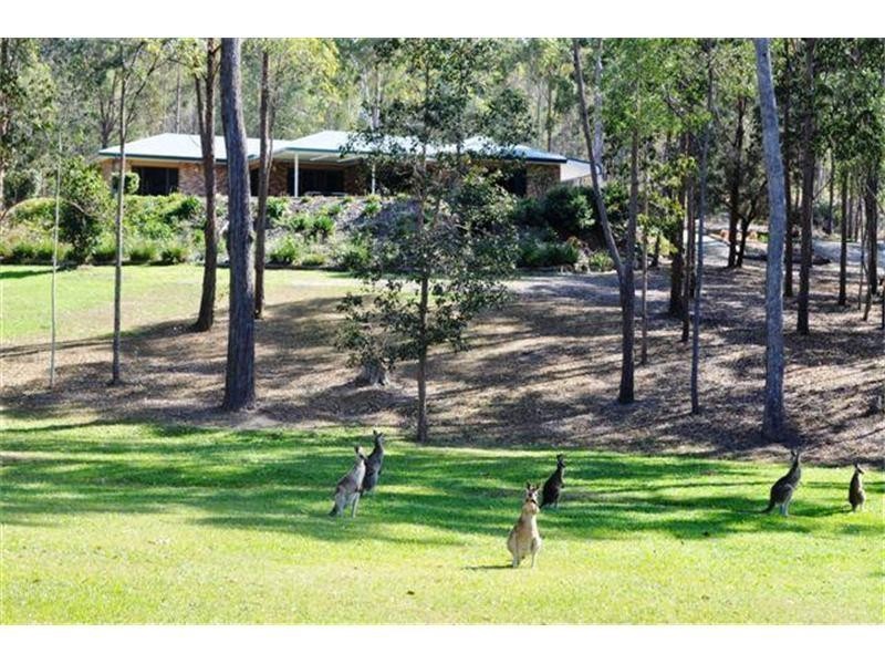 303 San Fernando Drive, Worongary QLD 4213