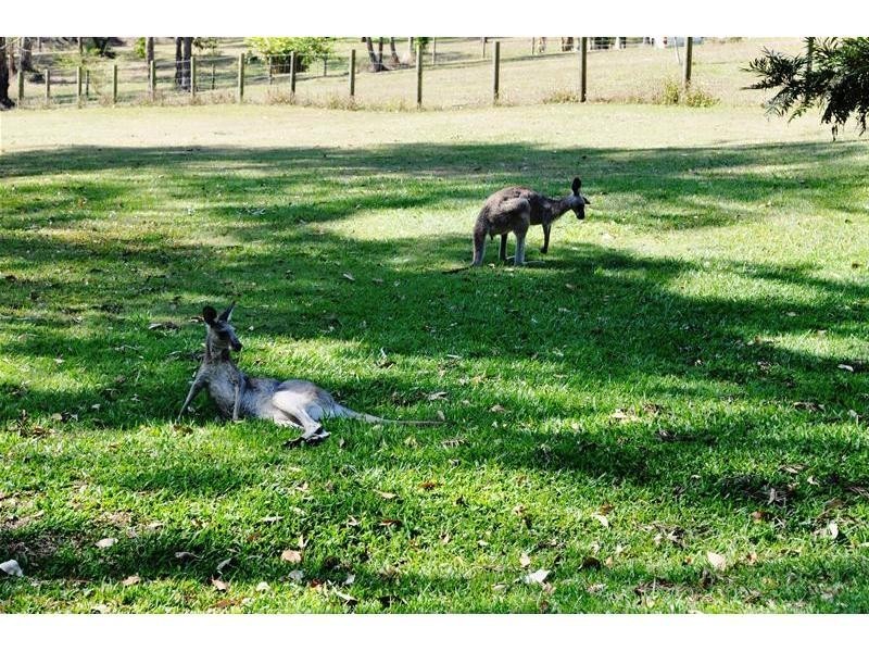 303 San Fernando Drive, Worongary QLD 4213