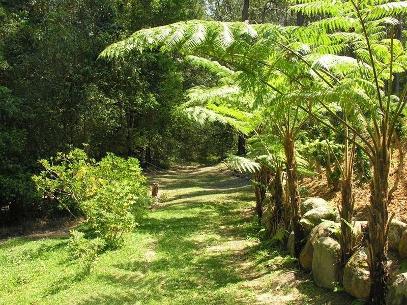 17 Lords Avenue, Mount Nathan QLD 4211