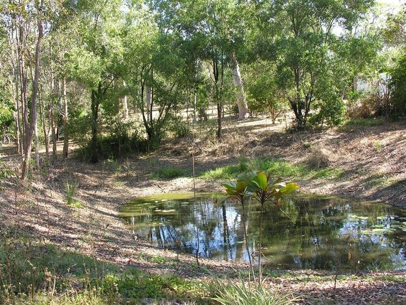 Lot 1, 318 Tamborine Mountain Road, Tamborine QLD 4270