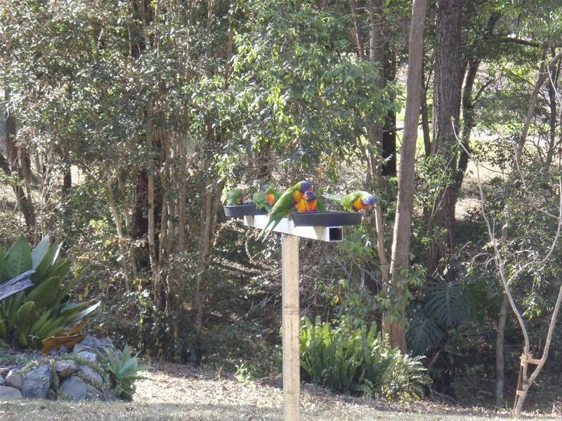 98 Advancetown Road, Advancetown QLD 4211