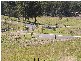 12 Hanwood Court, Gilston QLD 4211