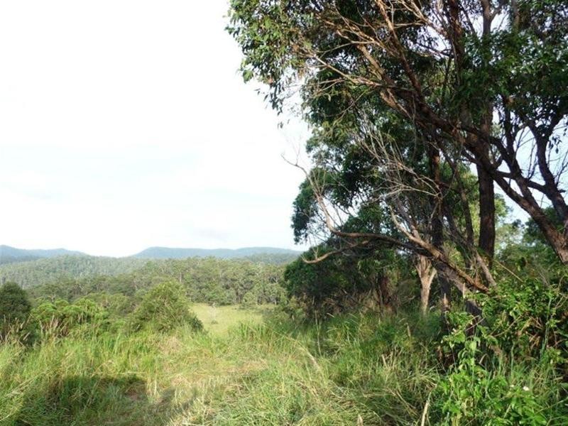 Numinbah Valley QLD 4211