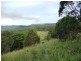 Numinbah Valley QLD 4211