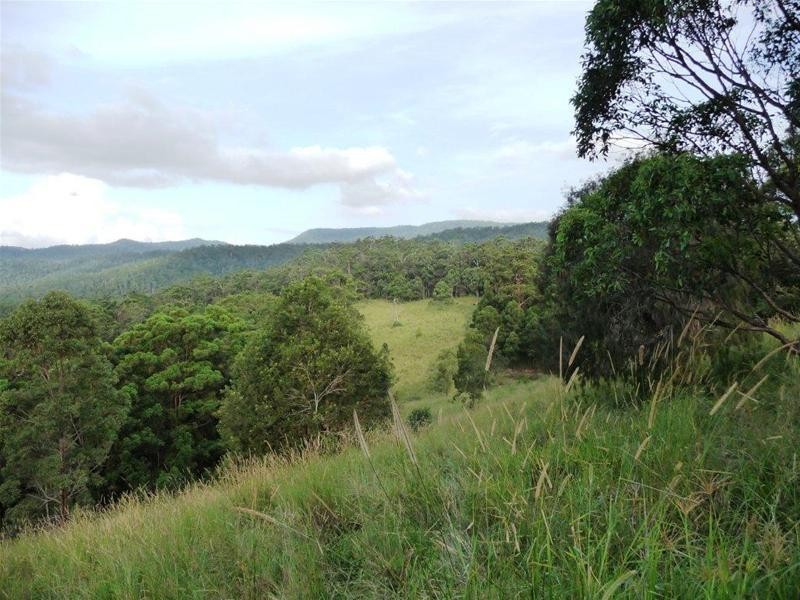 Numinbah Valley QLD 4211