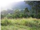 Numinbah Valley QLD 4211