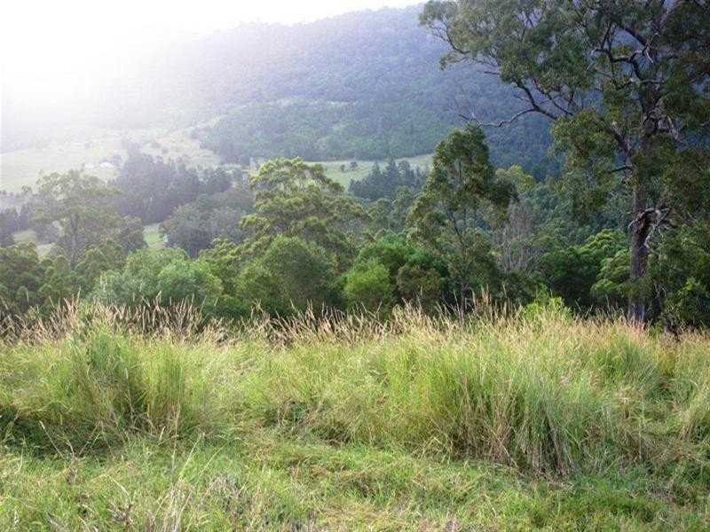 Numinbah Valley QLD 4211