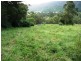 Numinbah Valley QLD 4211