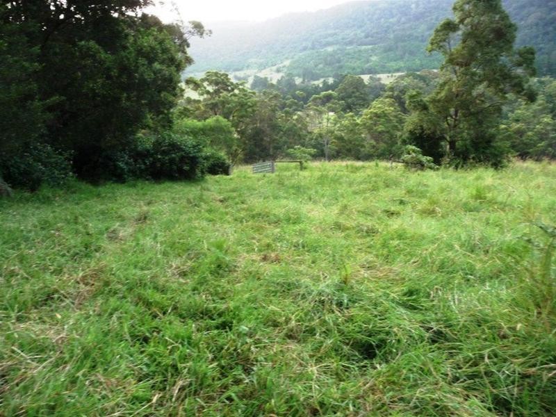 Numinbah Valley QLD 4211