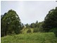 Numinbah Valley QLD 4211