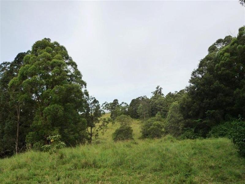 Numinbah Valley QLD 4211