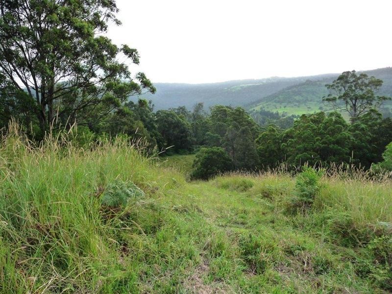 Numinbah Valley QLD 4211
