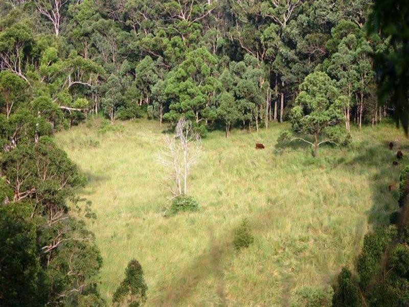 Numinbah Valley QLD 4211