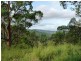Numinbah Valley QLD 4211