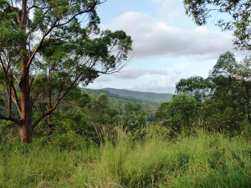 Numinbah Valley QLD 4211