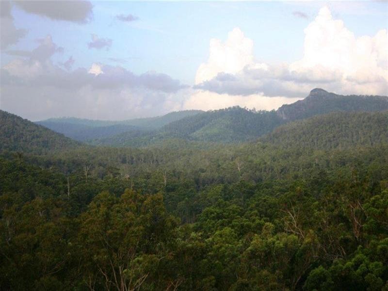 Numinbah Valley QLD 4211