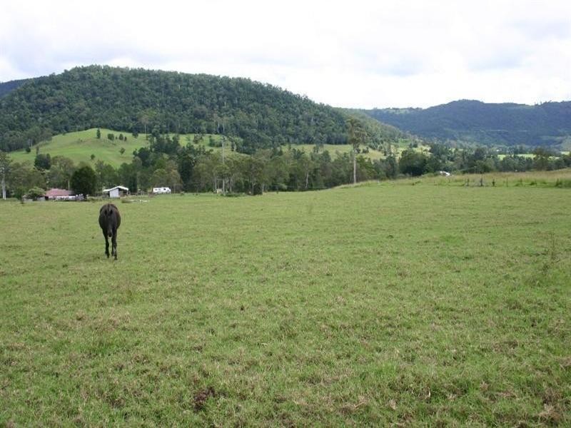 Numinbah Valley QLD 4211