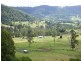 Numinbah Valley QLD 4211