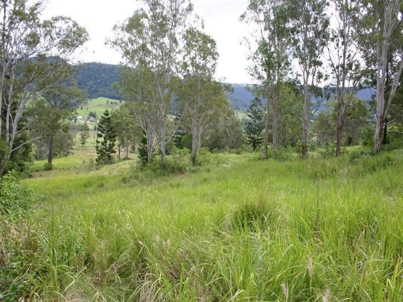 Numinbah Valley QLD 4211