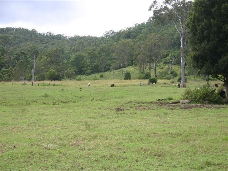 Numinbah Valley QLD 4211