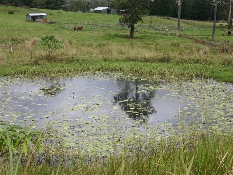 Numinbah Valley QLD 4211
